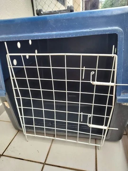 Caixa de Transporte para Cães