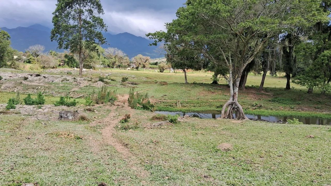 Oportunidade de terreno com 7.5 hectares em Santo Amaro da Imperatriz-SC  - Foto 3