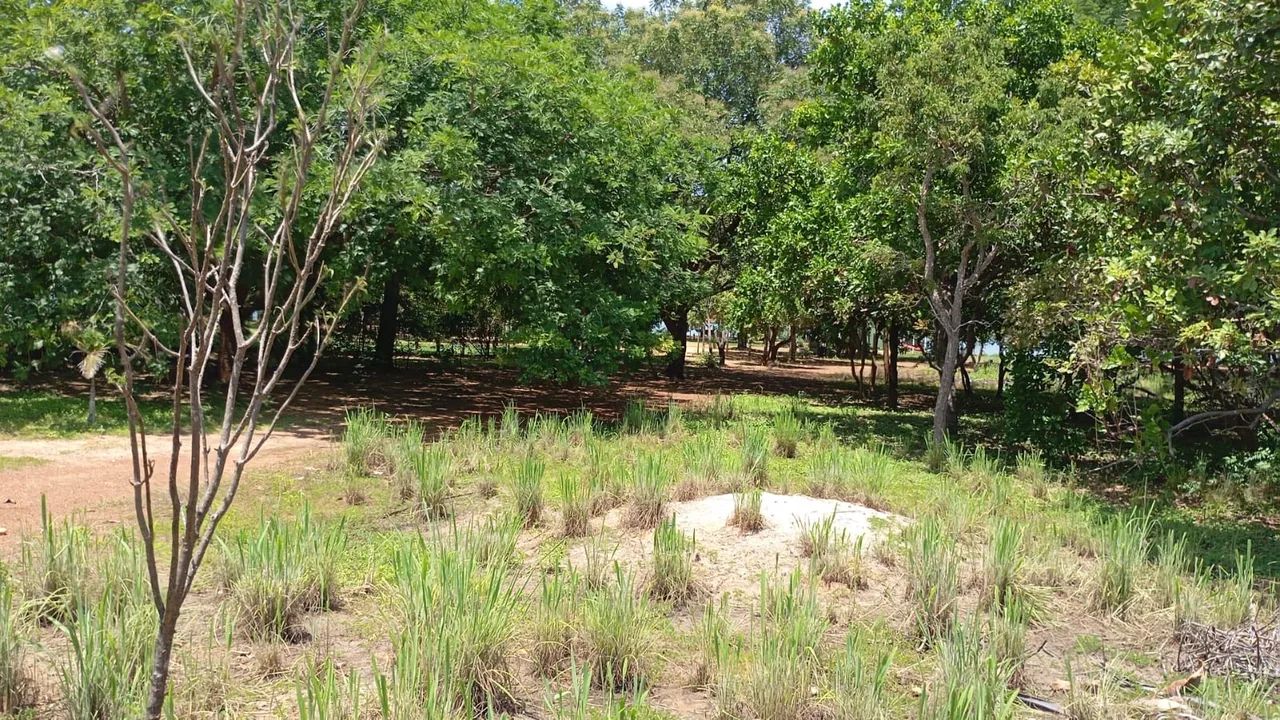 Vendo chácara na beira do lago  - Foto 3