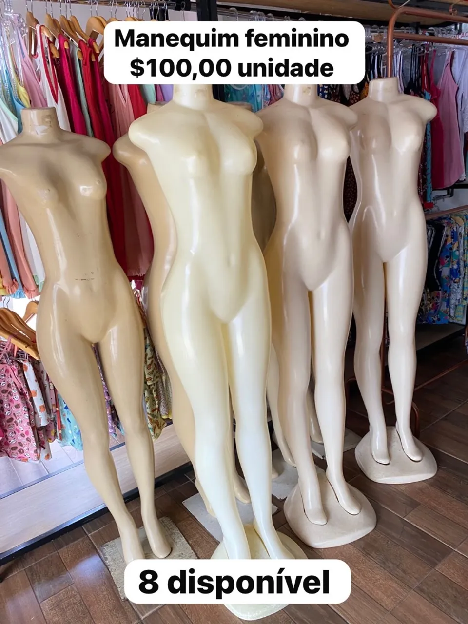 Manequim Feminino - R$100,00 Unidade
