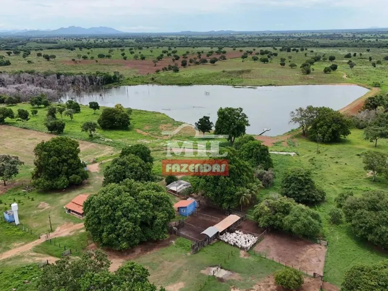 Fazenda 251 Alqueires ( 1.214 hectares ) Peixe - TO