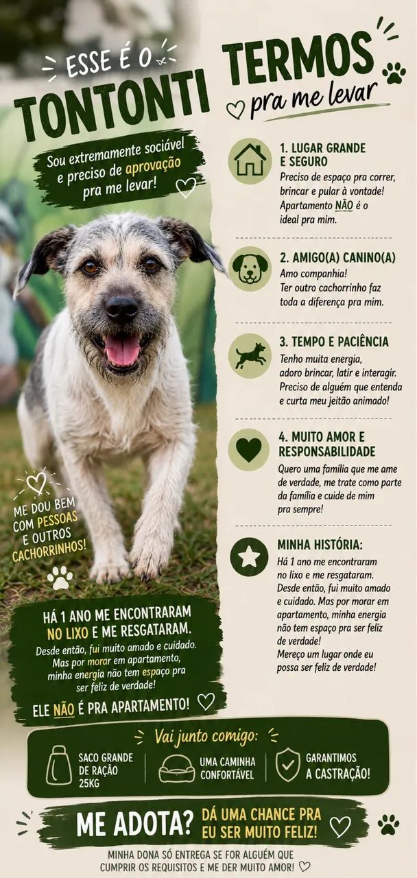 Adoção urgente.  - Foto 3