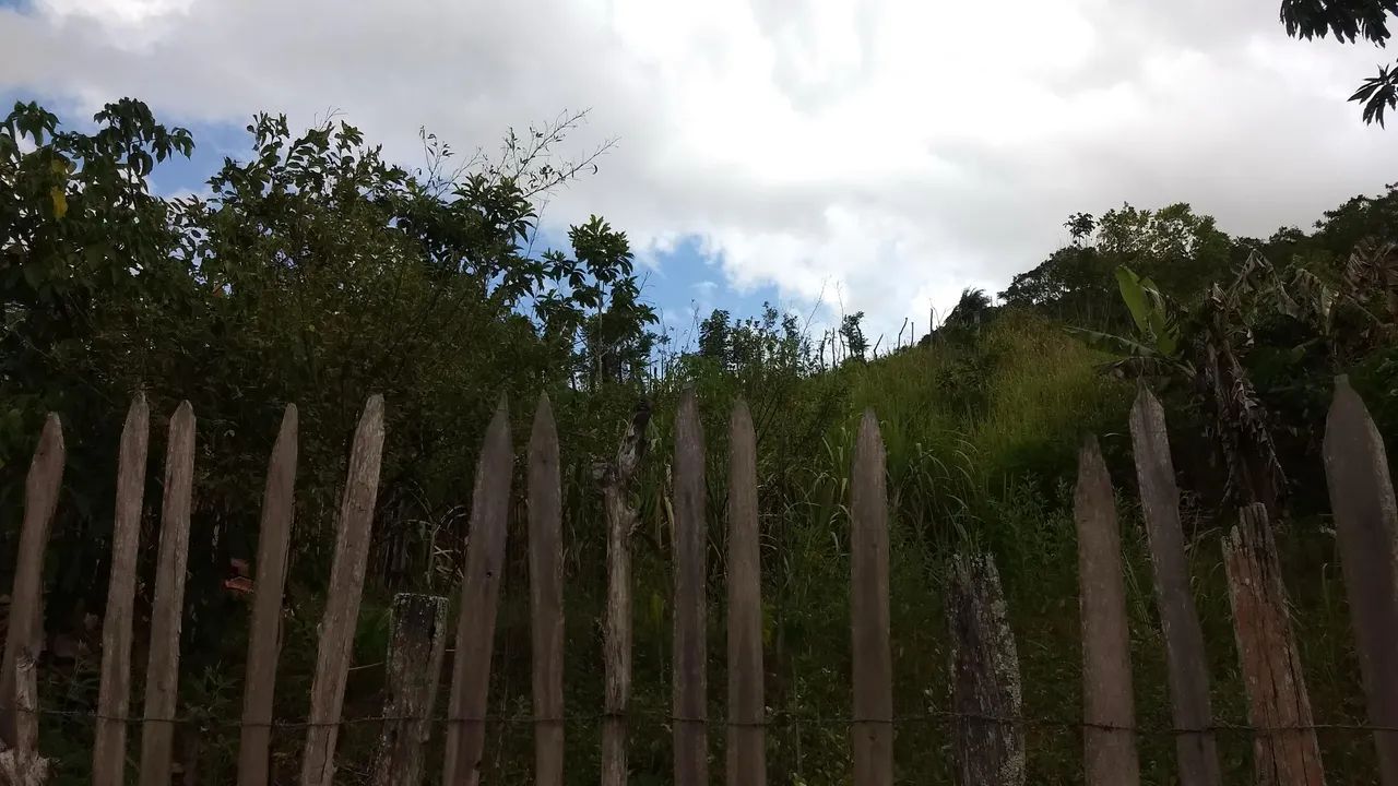 Terreno excelente  - Foto 2