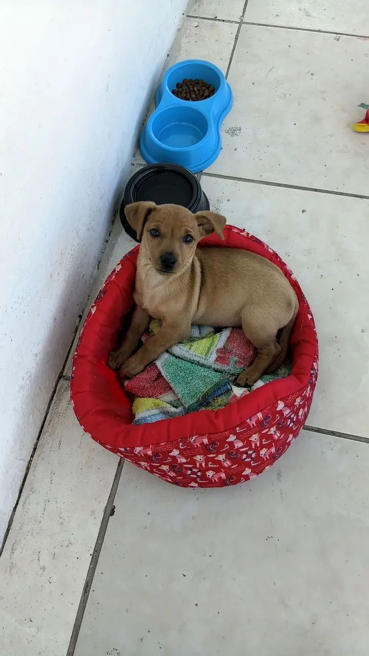 Doação 
