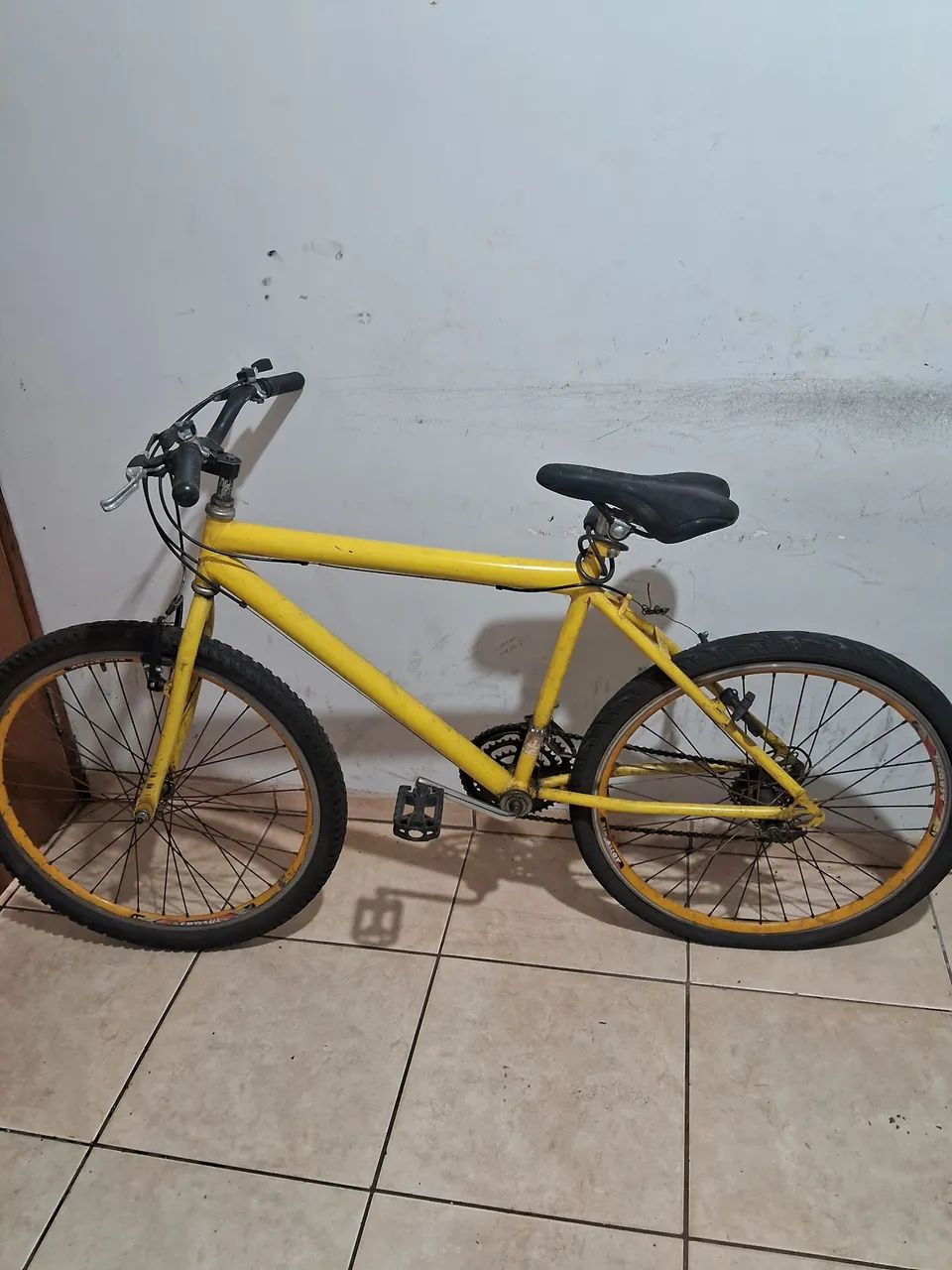 Bicicleta