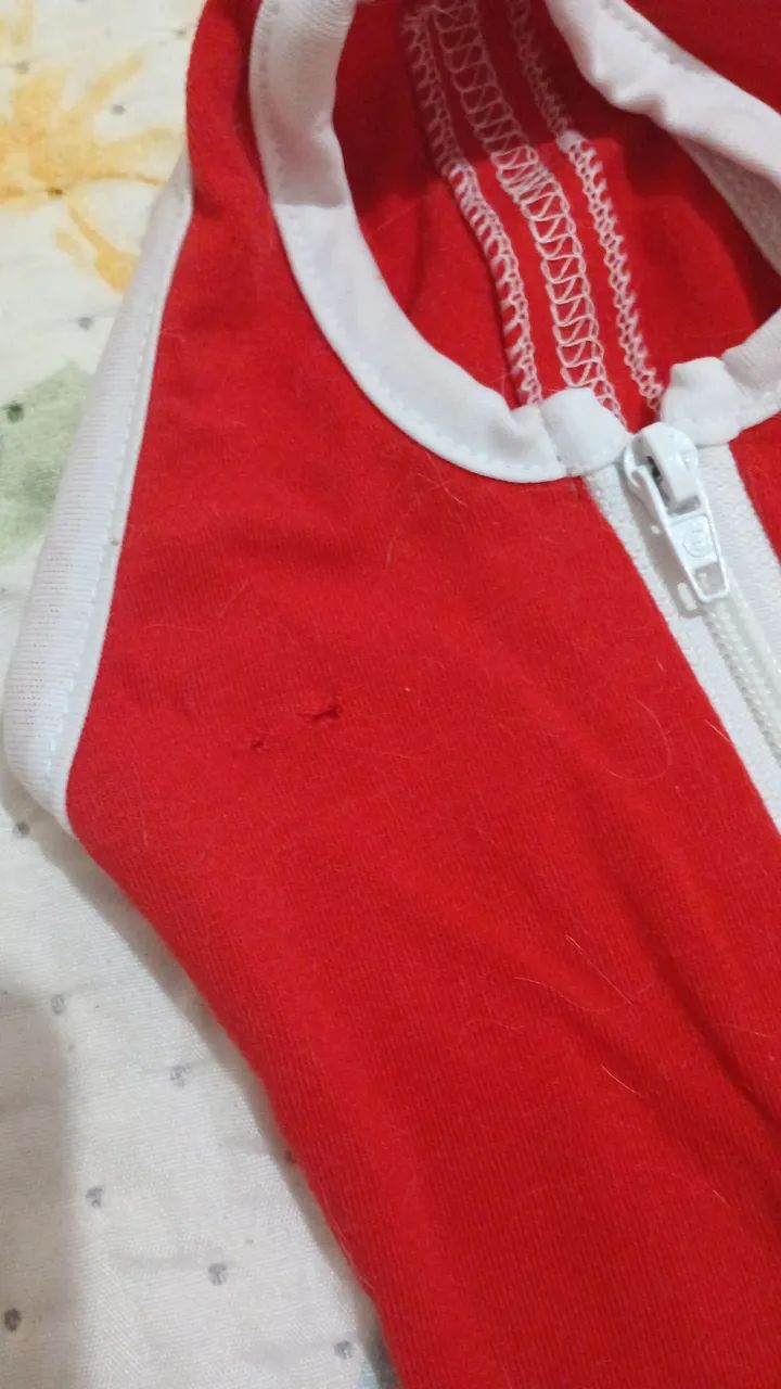 Roupa pós operatório de gato mais pomada  - Foto 2