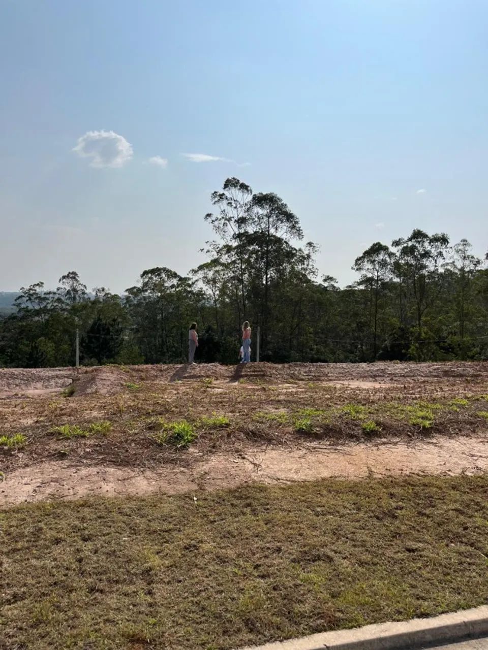 TERRENO MOSAICO HORIZONTES 332m² - Foto 2