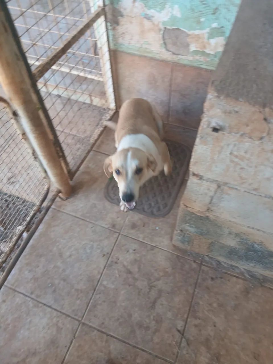 DOANDO - Foto 3