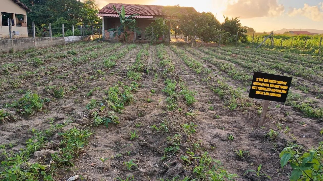 TERRENO EM TAQUARANA - Foto 5