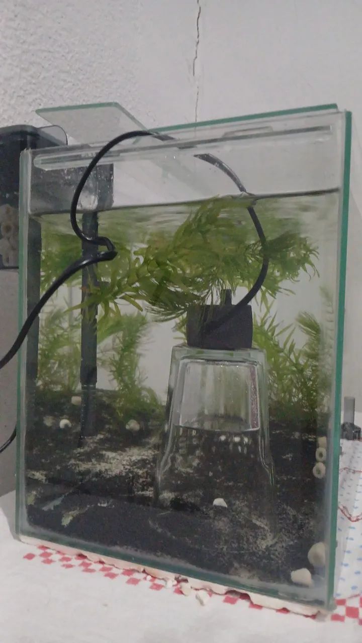Aquario de 20litros, 40×20×25 - Foto 2