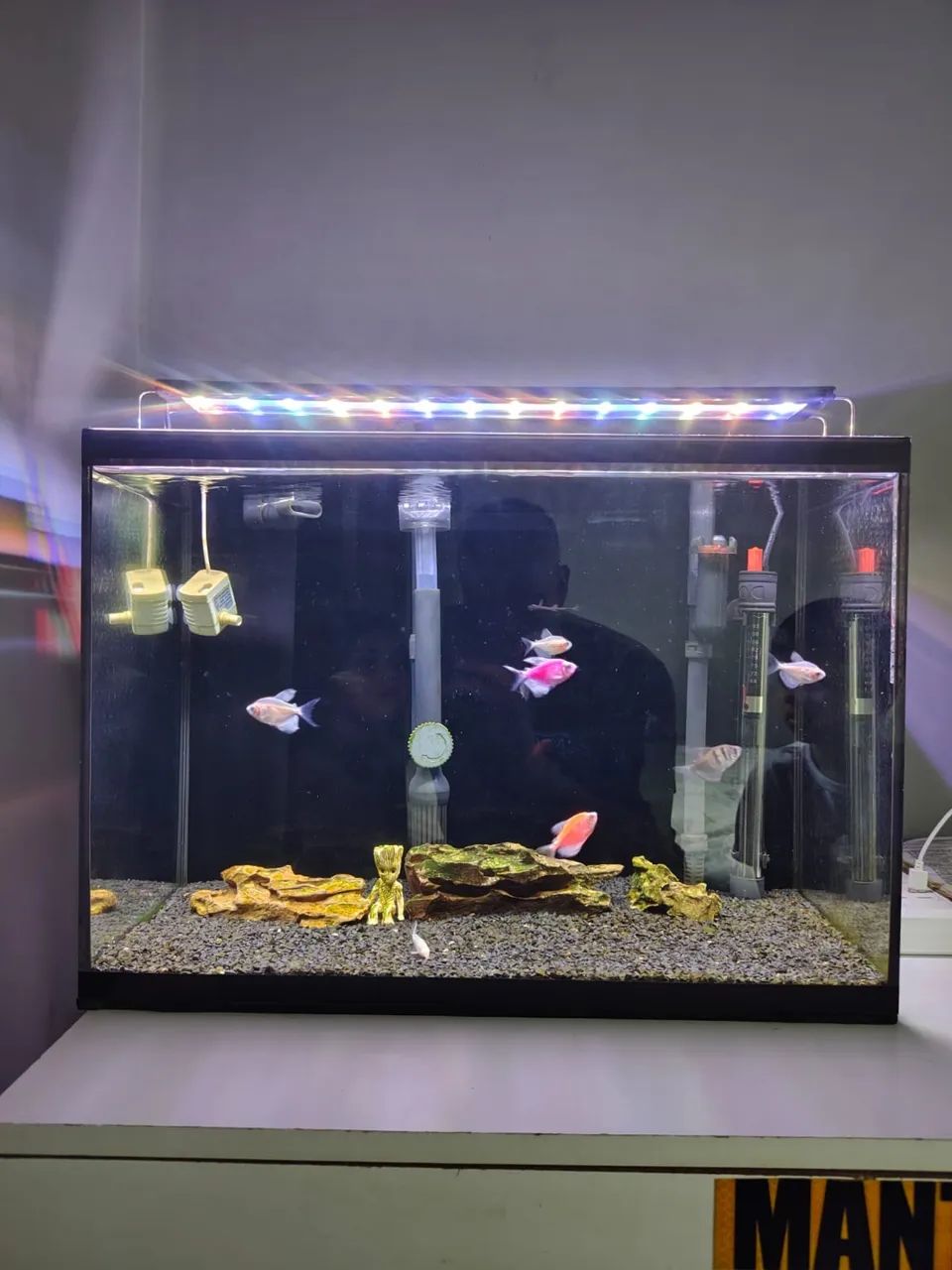 Aquário de 50 litros com itens