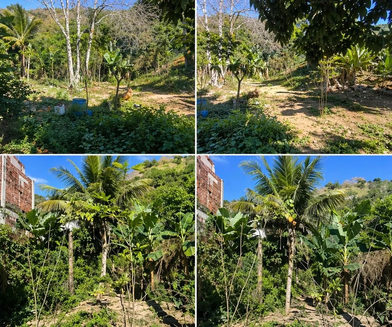  OPORTUNIDADE DE 6 LOTES EM ECOPORANGA 