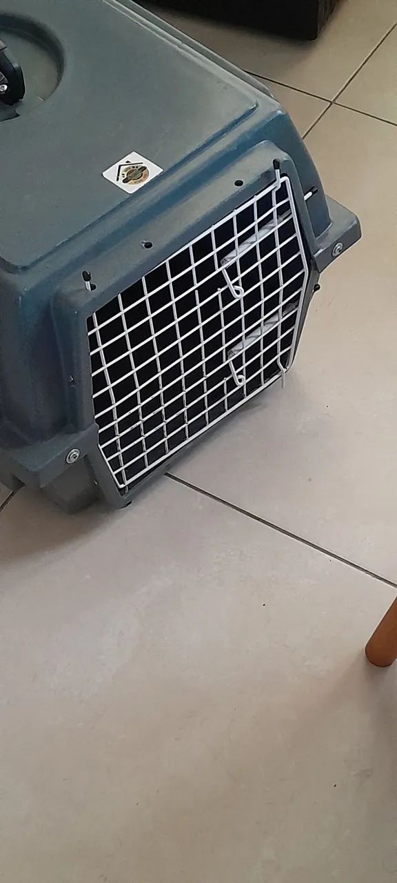 Caixa para animal - Foto 4