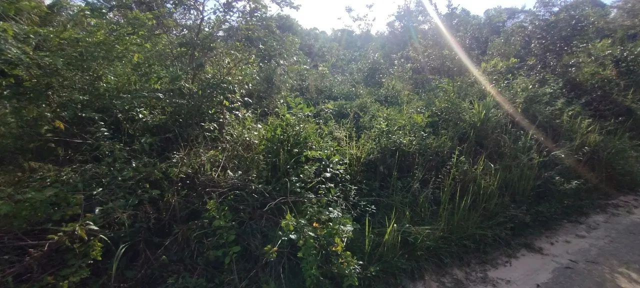 Terreno em Mosqueiro  - Foto 2