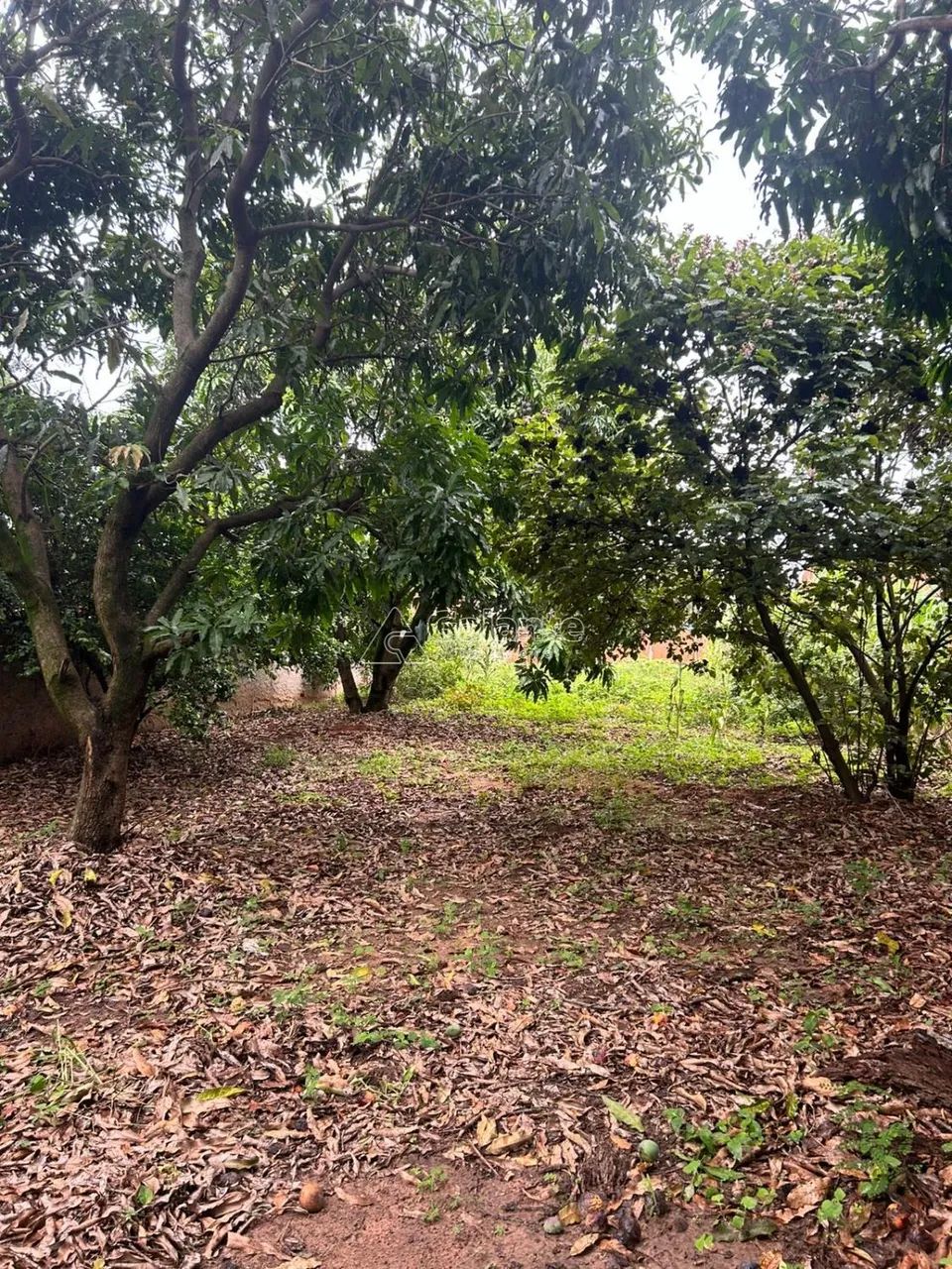 Terreno a Venda no Satélite Iris - Foto 2