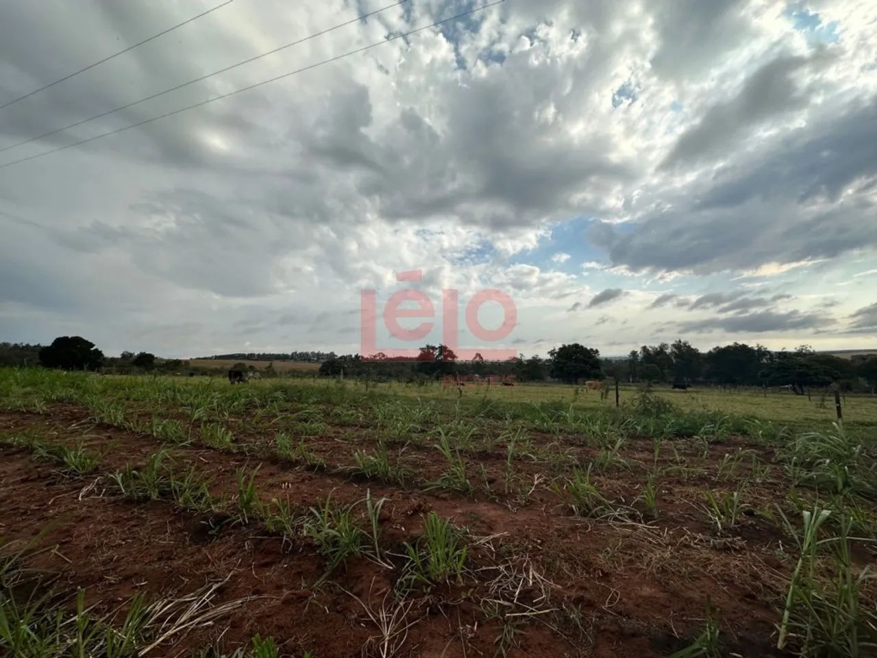 ÁREA RURAL EM IGUARAÇU - Foto 3