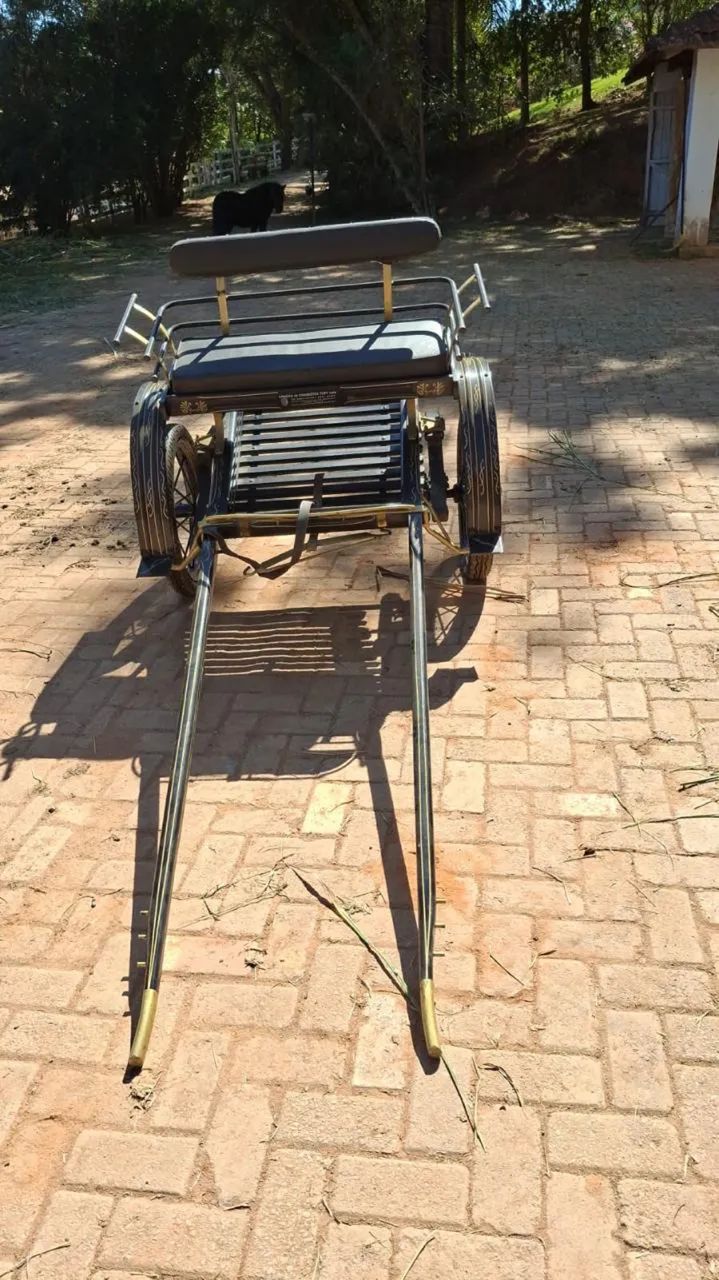Vendo charrete para ponei