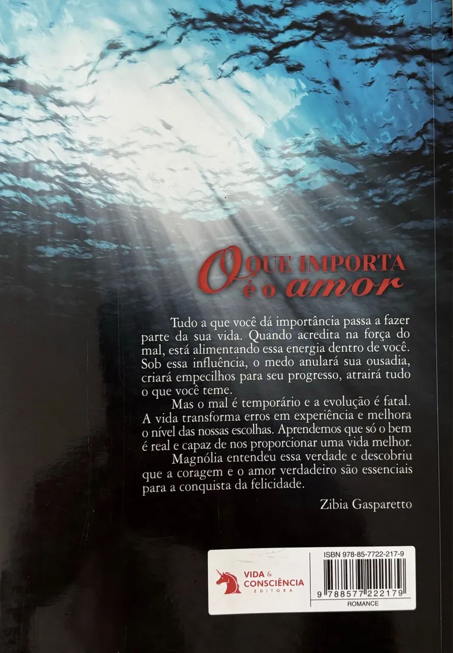 Livro: O Que Importa é o Amor  - Foto 3