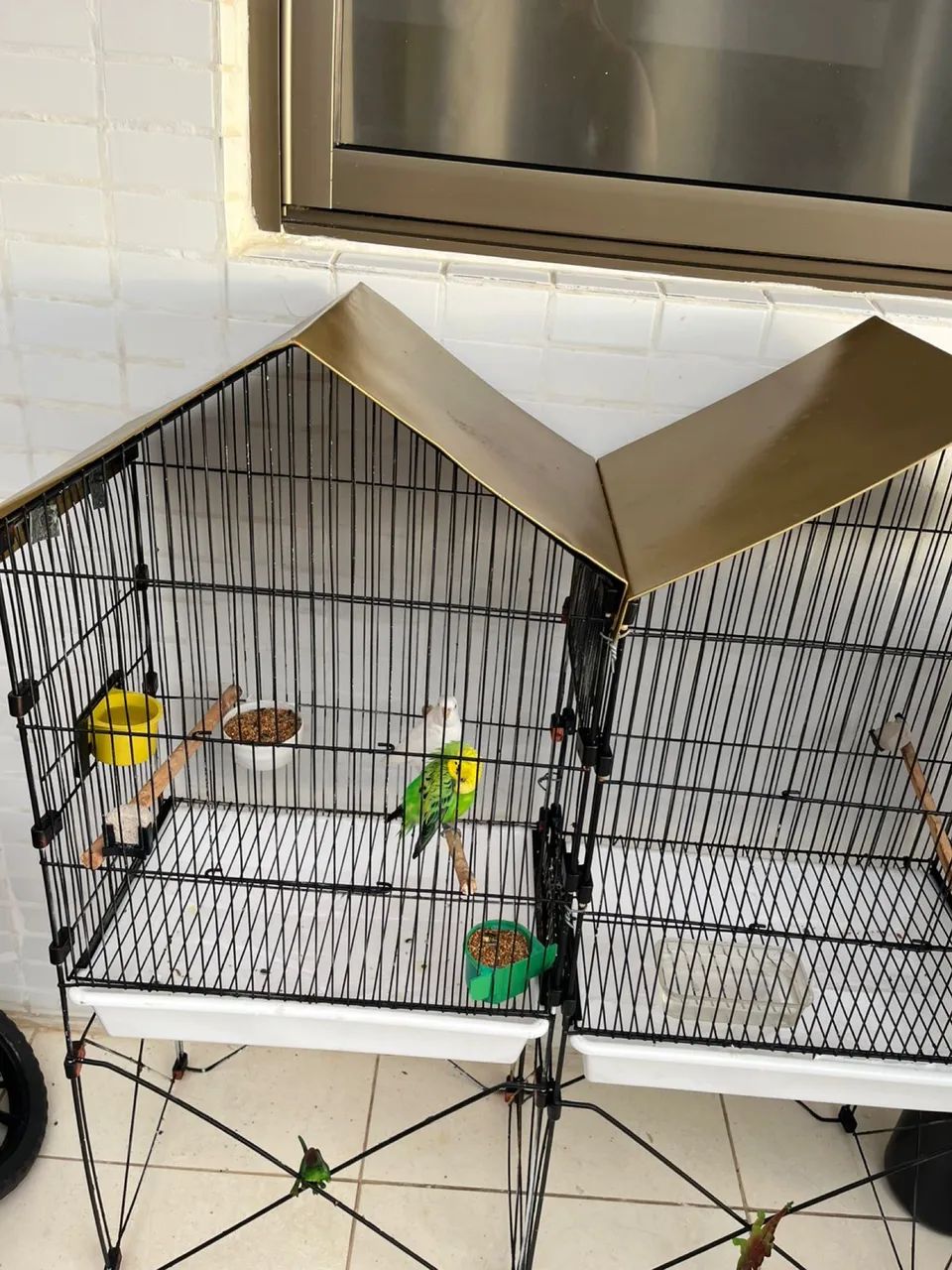 Viveiro grande  - Foto 3