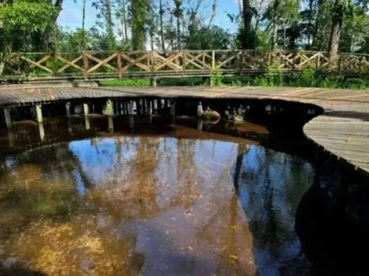 Quartzo Lote 245m² - Foto 5