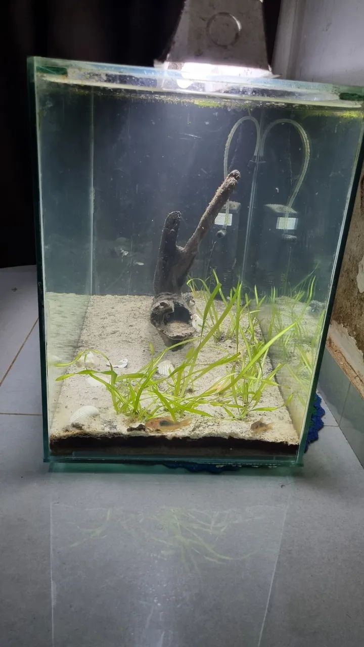 Aquario 72 Litros - Foto 4