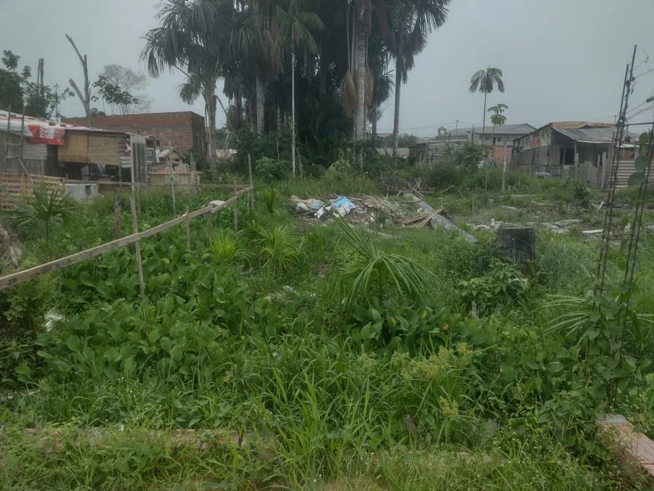 Foto - Manaus - Cidade Nova