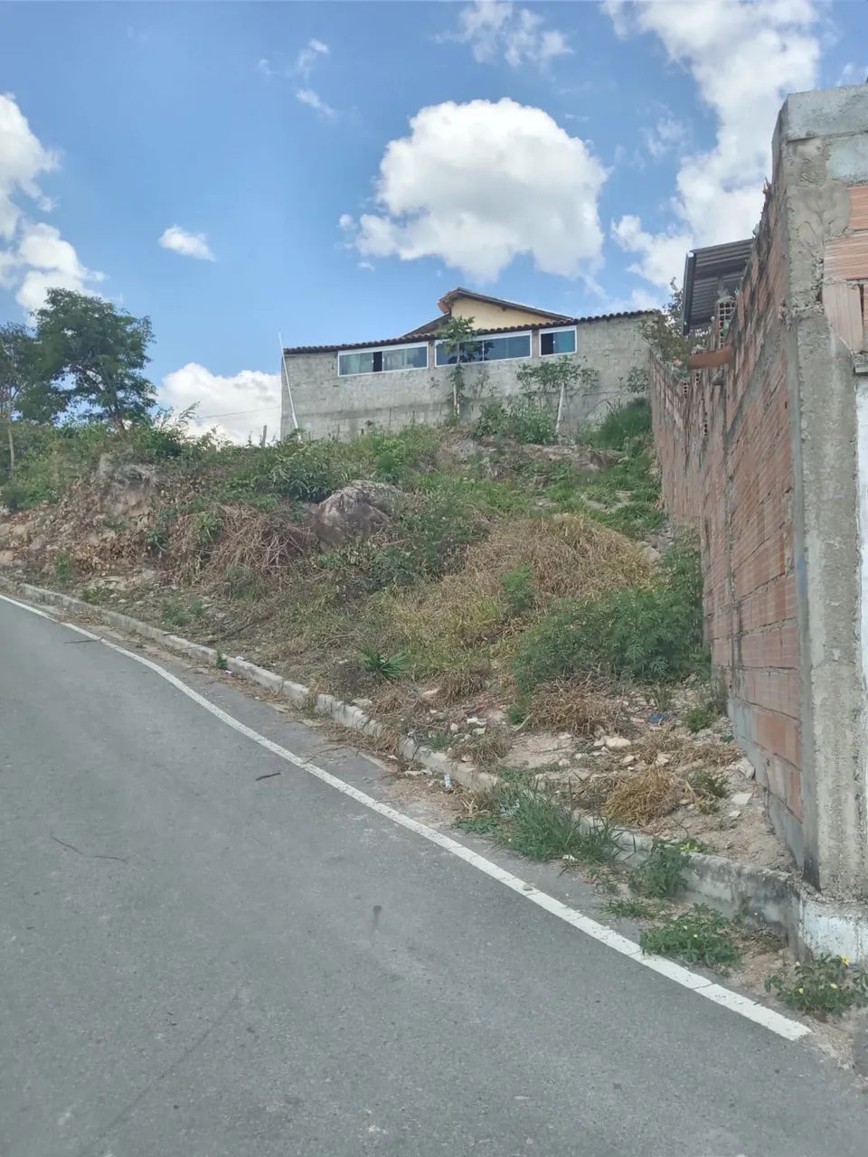 Lote  - Foto 3
