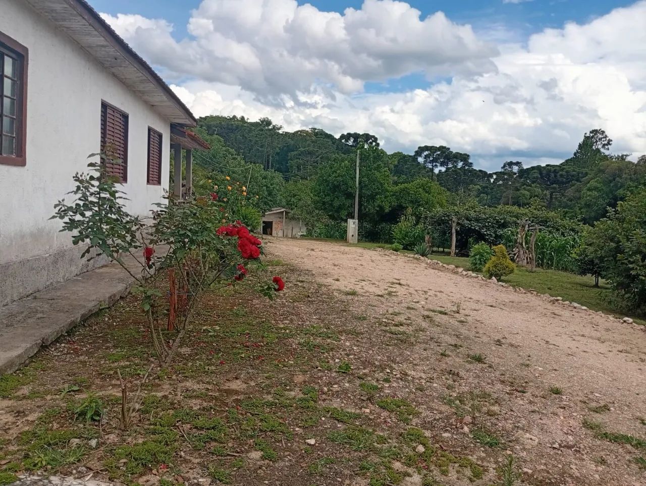 Linda chácara em Contenda.  - Foto 4