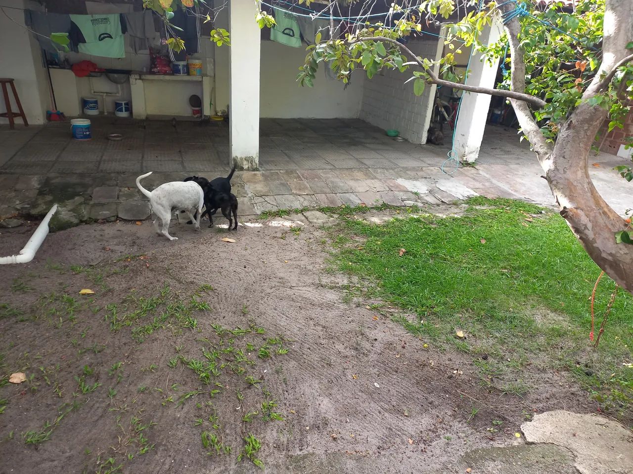CASA DE PRAIA, CATUAMA - Foto 3