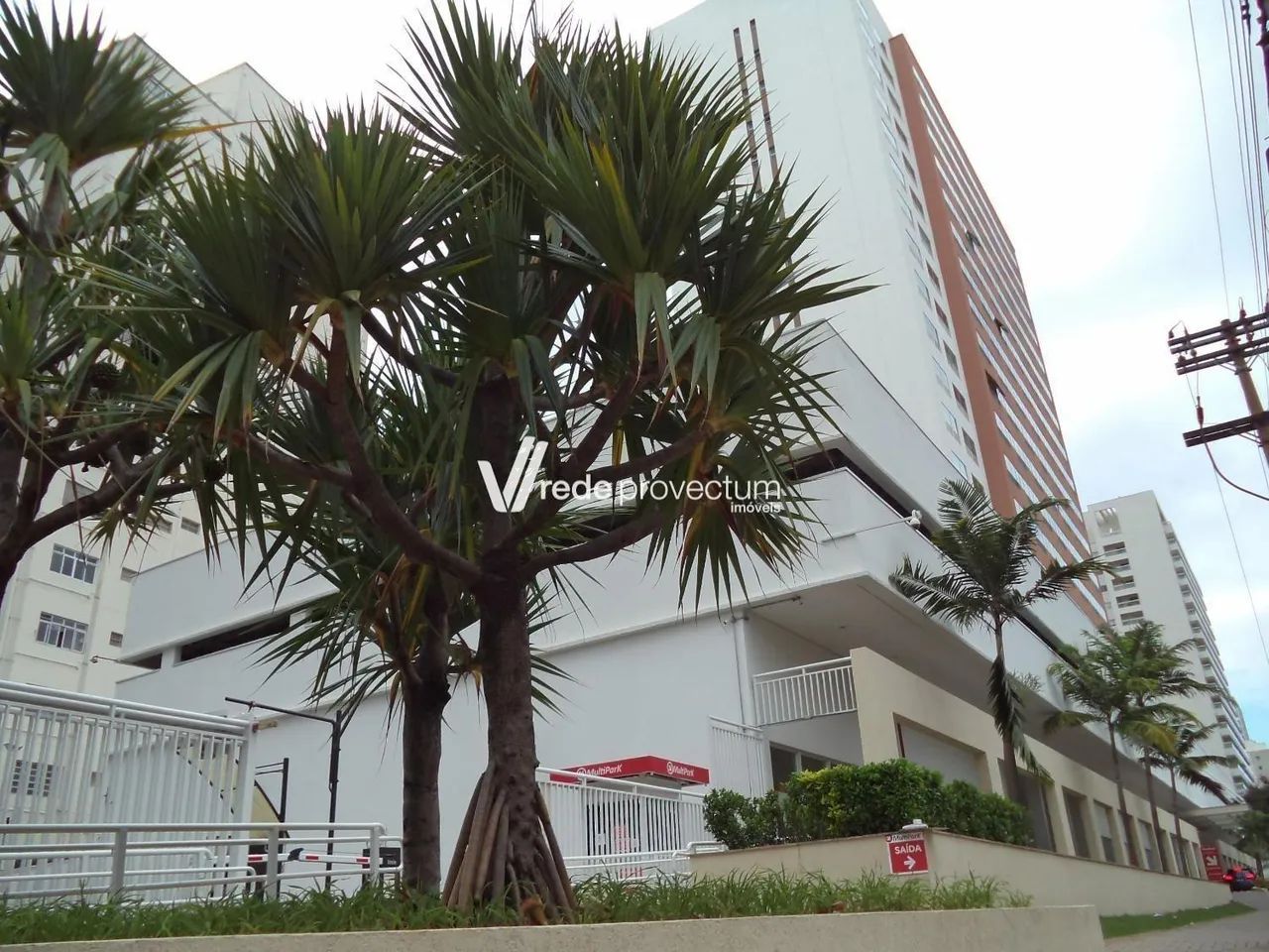 sala - Vila Itapura - Campinas - Foto 2