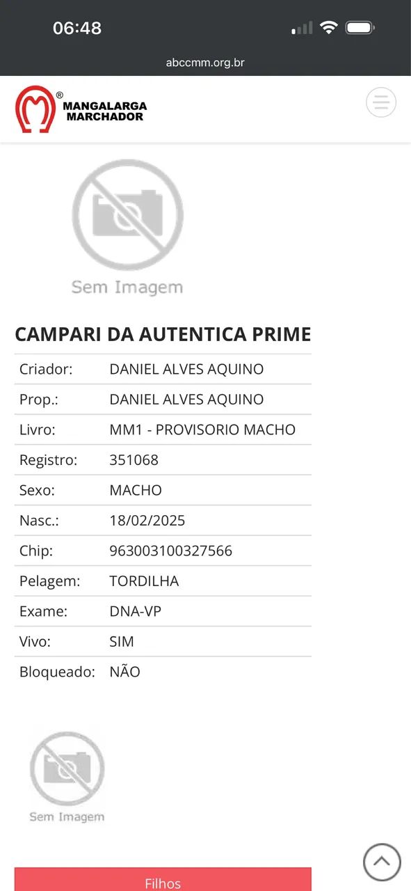 Cavalo - Foto 4