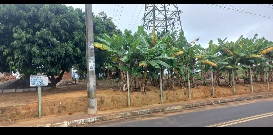 Um belo terreno  - Foto 2