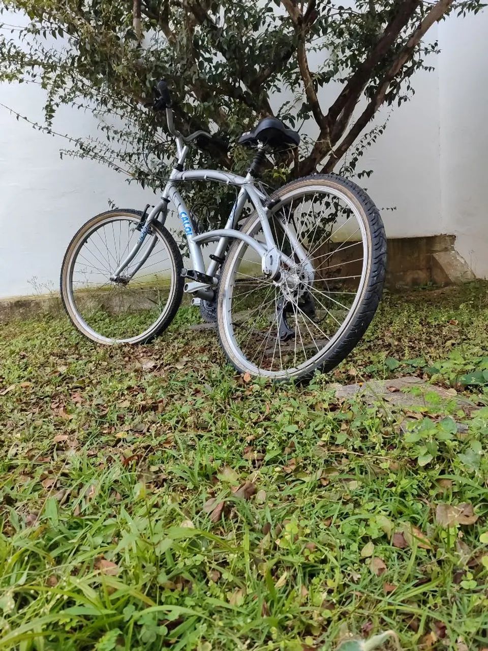 Bicicleta Caloi modelo 100