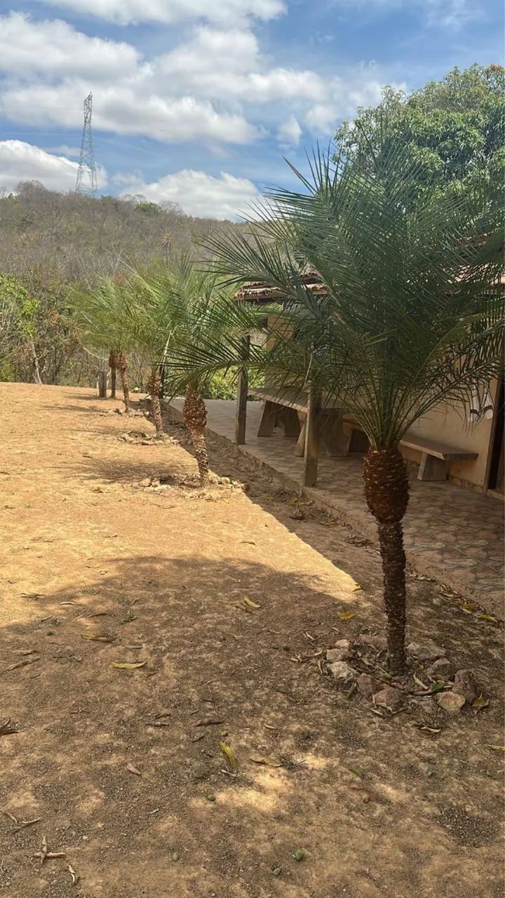 Vende-se sítio em Jaboticatubas/MG  - Foto 5