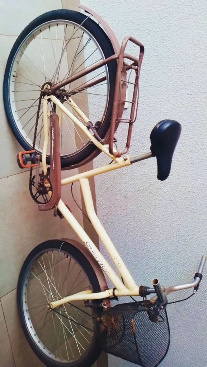 Bicicleta panda status - Foto 2