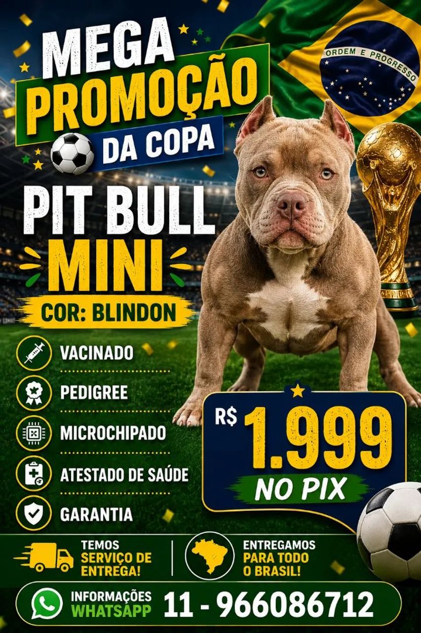 Pit bull mini