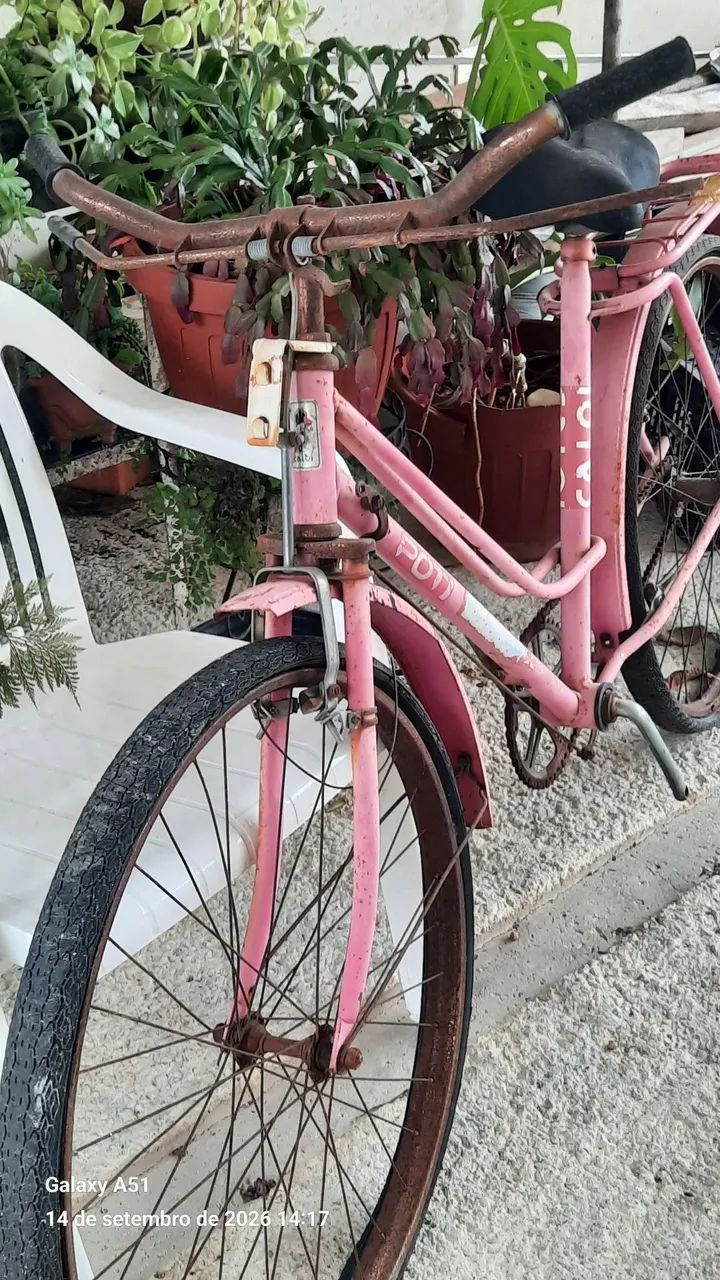 Sucata caloi poti aro 26