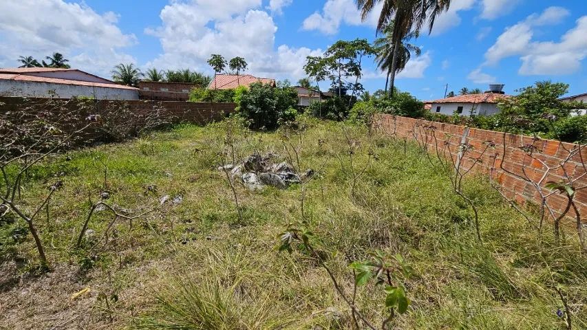 TERRENO 15X30 EM FAGUNDES  - Foto 5