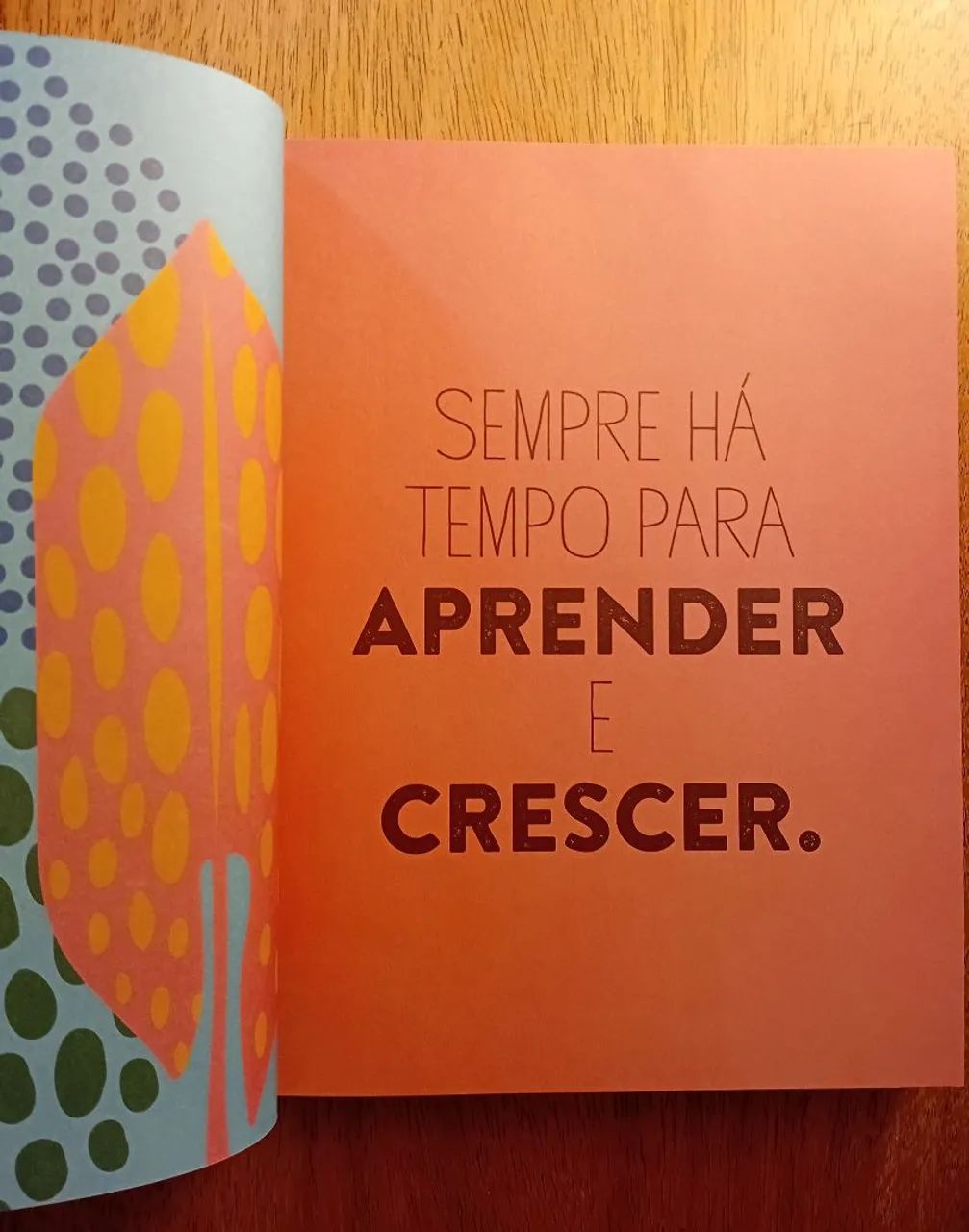 Planner 365 dias de bem-estar - Foto 2