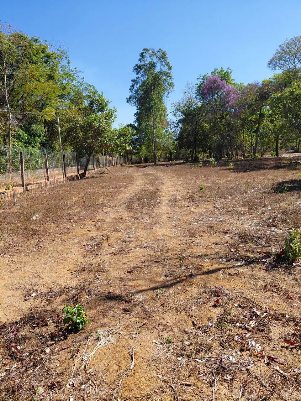 Área escriturada, com compra e venda  - Foto 5