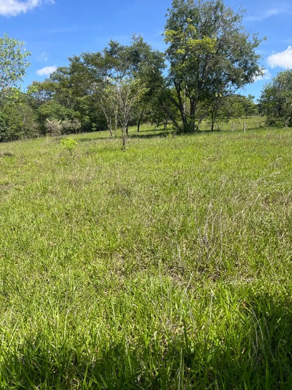 Foto - Goiânia - Área Rural de Goiânia