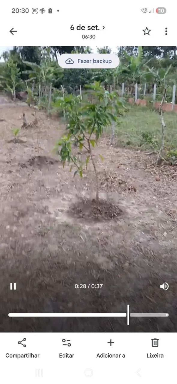 Terreno com casa vender ou trocar em strada  - Foto 4