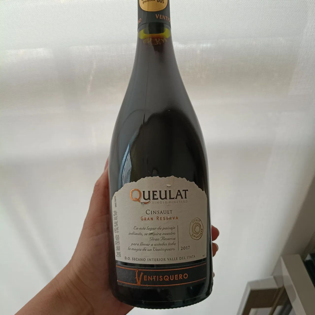Vinho Vestiaquero Queulat Gran Reserva Cinsault 2017 - 750ml 