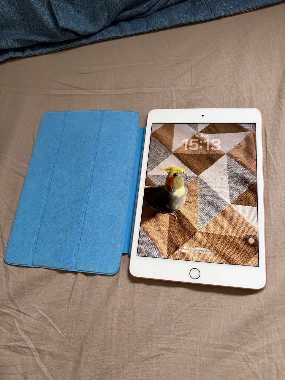 iPad Mini 5 64gb Gold - Excelente estado