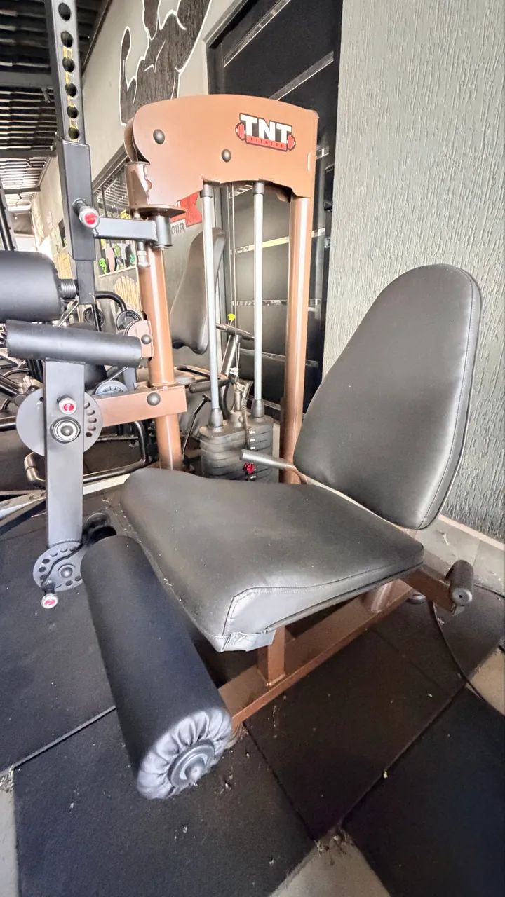 Vendo flexora e extensora 