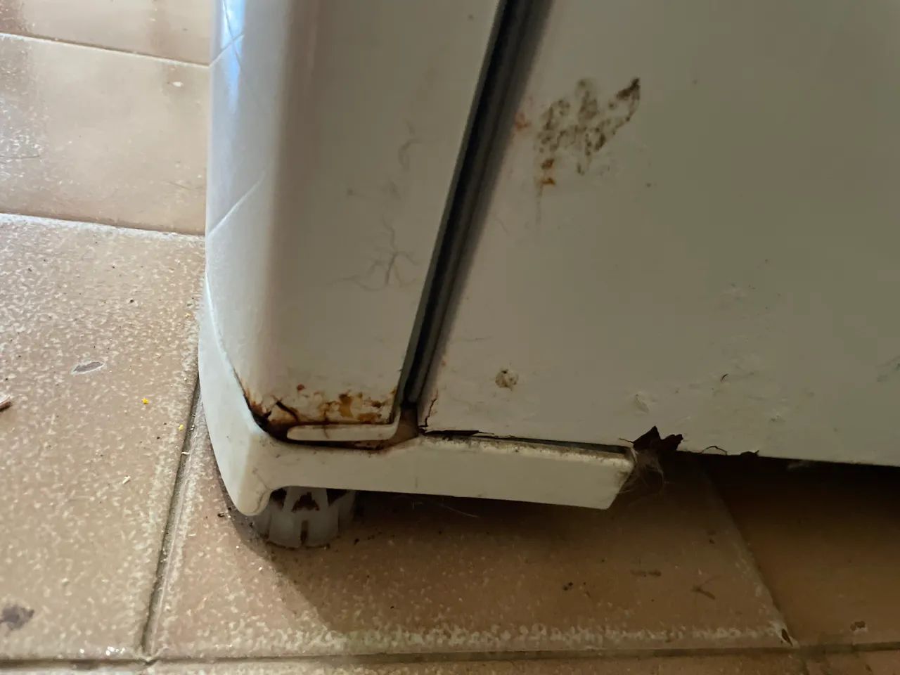 Geladeira Electrolux Frost Free - Foto 4