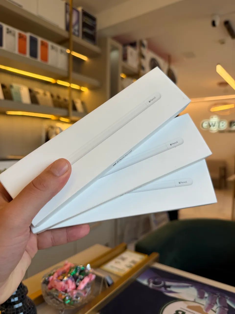Apple Pencil Usb-c Nova Lacrada | Loja Física 