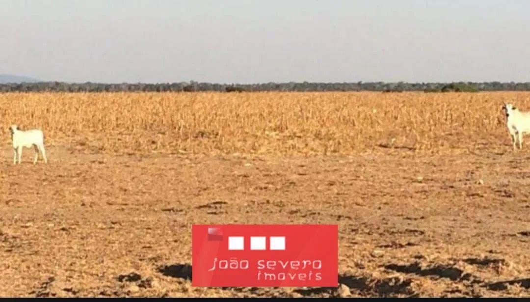 Fazenda para Venda em Confresa - Foto 3