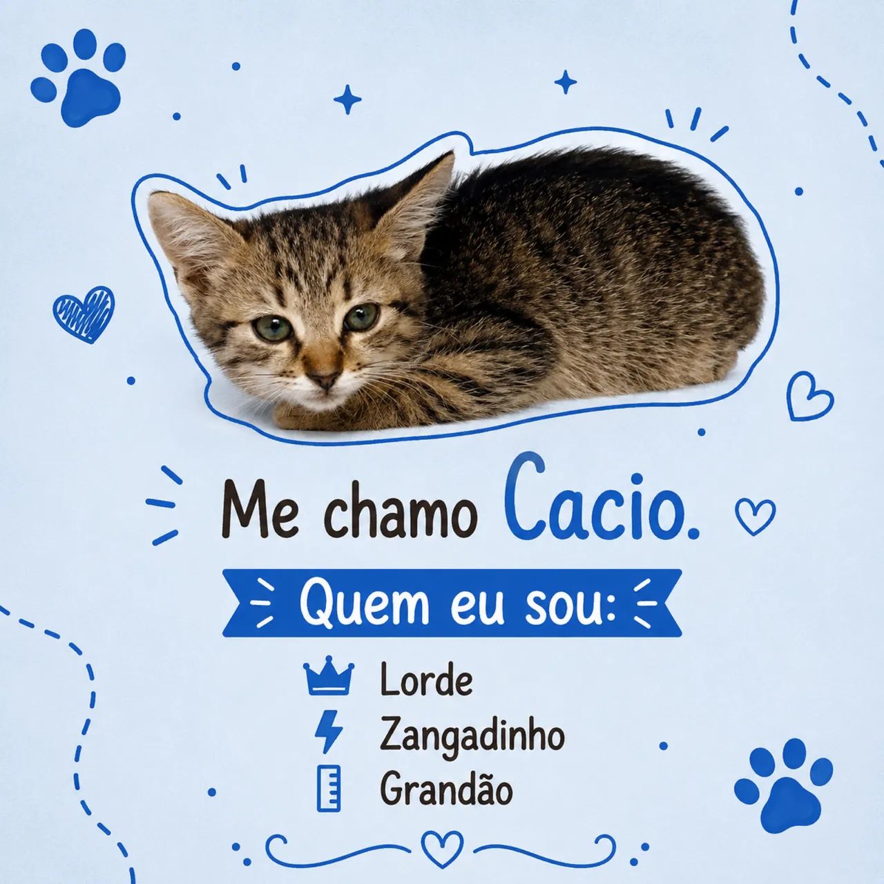 Gatinhos para adoção  - Foto 5