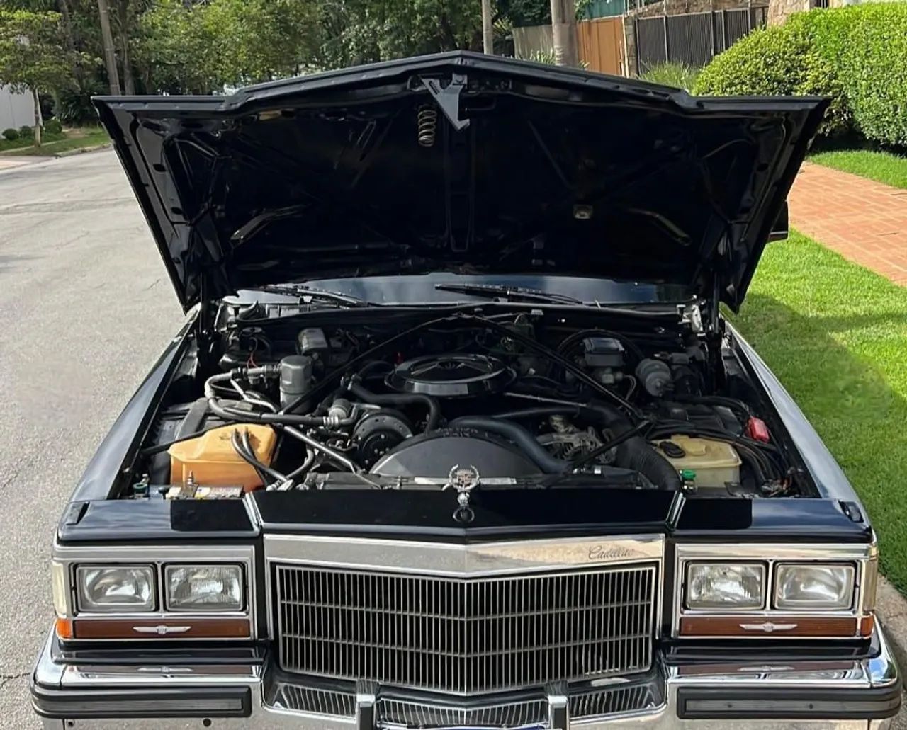Cadillac Deville/Eldorado 4.9 1988 - Foto 4